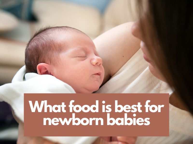 What is the Best Food For Newborn Babies